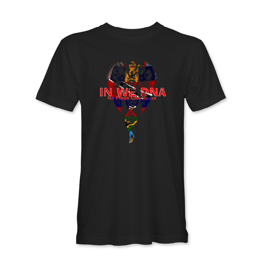 Carnival in we DNA mical Teja black men